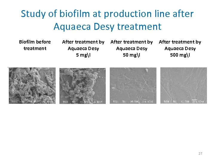 Study of biofilm at production line after Aquaeca Desy treatment Biofilm before treatment After