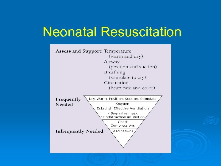 Neonatal Resuscitation 