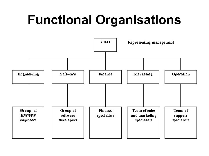 Functional Organisations CEO Representing management Engineering Software Finance Marketing Operation Group of engineers Group