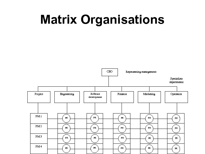 Matrix Organisations CEO Representing management Specialists departments Project PM 1 PM 2 PM 3