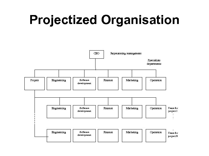 Projectized Organisation CEO Representing management Specialists departments Project Engineering Software development Finance Marketing Operation