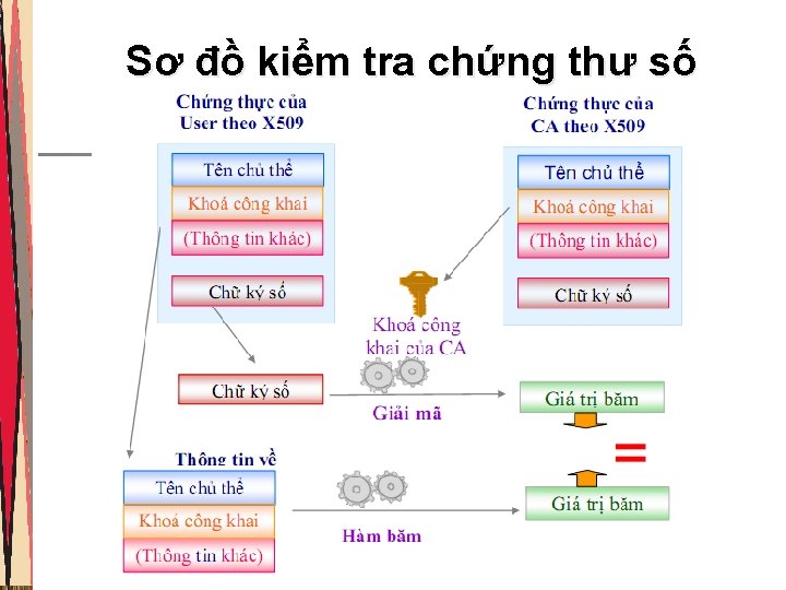 Sơ đồ kiểm tra chứng thư số 