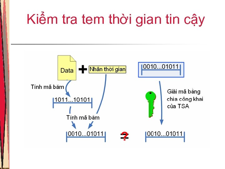 Kiểm tra tem thời gian tin cậy 