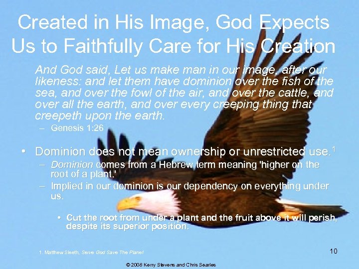 Created in His Image, God Expects Us to Faithfully Care for His Creation And
