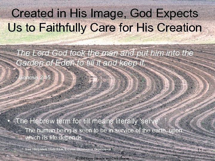 Created in His Image, God Expects Us to Faithfully Care for His Creation The