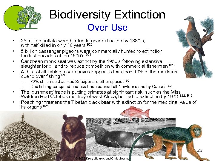 Biodiversity Extinction Over Use • • 25 million buffalo were hunted to near extinction
