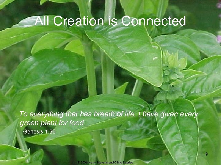 All Creation is Connected …To everything that has breath of life, I have given