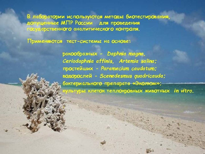 В лаборатории используются методы биотестирования, допущенные МПР России для проведения государственного аналитического контроля. Применяются