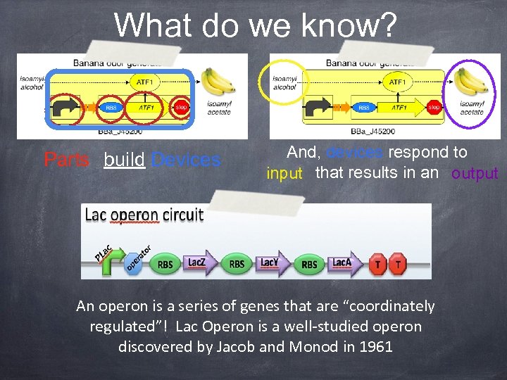What do we know? Parts build Devices And, devices respond to input that results