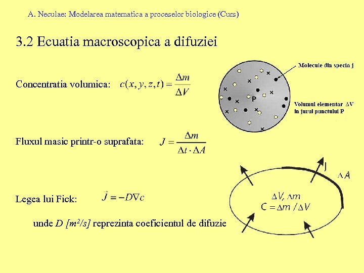A. Neculae: Modelarea matematica a proceselor biologice (Curs) 3. 2 Ecuatia macroscopica a difuziei