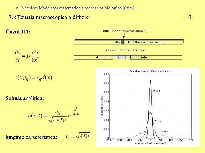 A. Neculae: Modelarea matematica a proceselor biologice (Curs) 3. 2 Ecuatia macroscopica a difuziei