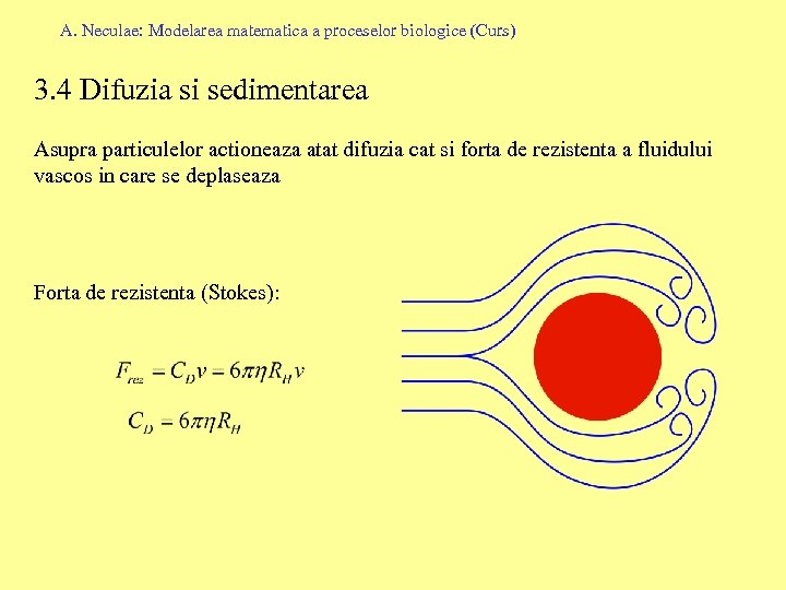 A. Neculae: Modelarea matematica a proceselor biologice (Curs) 3. 4 Difuzia si sedimentarea Asupra