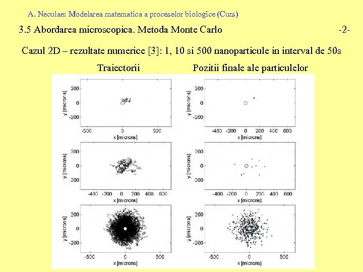 A. Neculae: Modelarea matematica a proceselor biologice (Curs) 3. 5 Abordarea microscopica. Metoda Monte