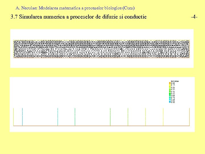 A. Neculae: Modelarea matematica a proceselor biologice (Curs) 3. 7 Simularea numerica a proceselor