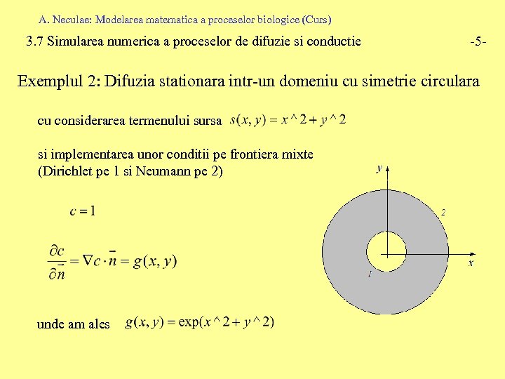 A. Neculae: Modelarea matematica a proceselor biologice (Curs) 3. 7 Simularea numerica a proceselor