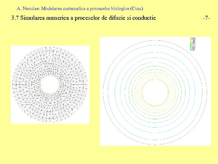 A. Neculae: Modelarea matematica a proceselor biologice (Curs) 3. 7 Simularea numerica a proceselor