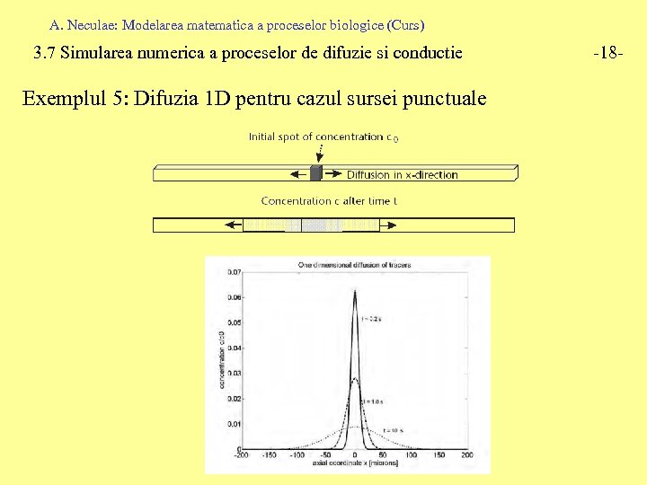 A. Neculae: Modelarea matematica a proceselor biologice (Curs) 3. 7 Simularea numerica a proceselor