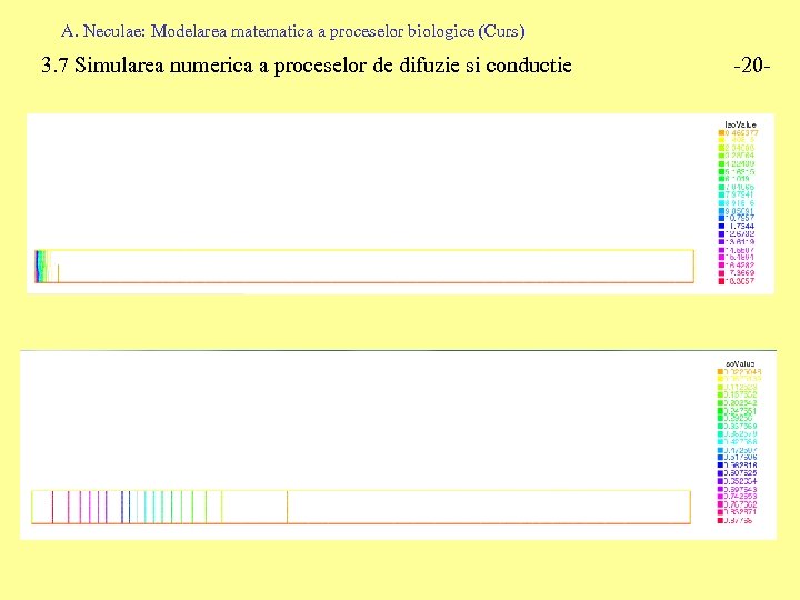 A. Neculae: Modelarea matematica a proceselor biologice (Curs) 3. 7 Simularea numerica a proceselor