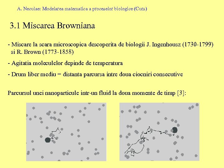 A. Neculae: Modelarea matematica a proceselor biologice (Curs) 3. 1 Miscarea Browniana - Miscare