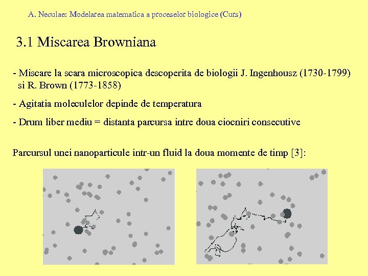 Modelarea Matematica A Proceselor Biologice — Curs