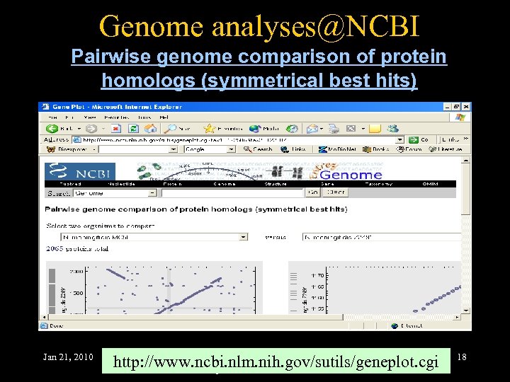 Genome analyses@NCBI Pairwise genome comparison of protein homologs (symmetrical best hits) Jan 21, 2010