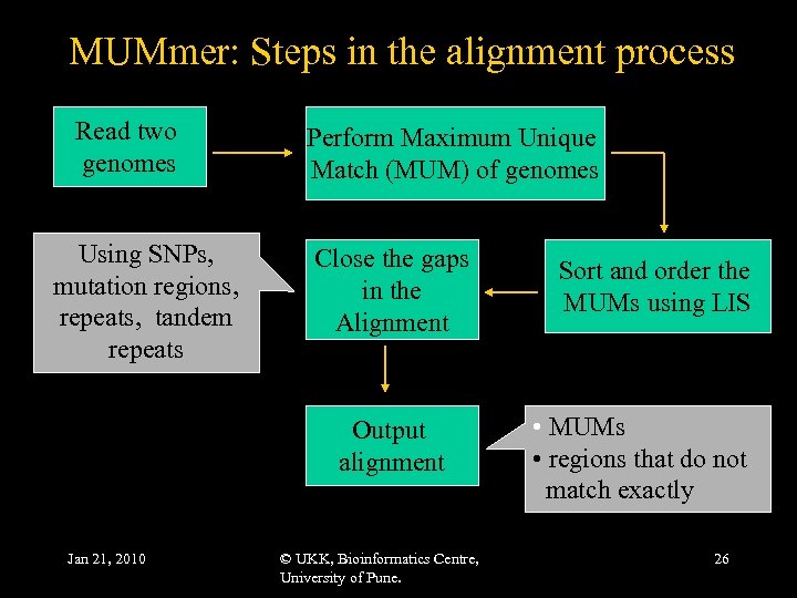 MUMmer: Steps in the alignment process Read two genomes Using SNPs, mutation regions, repeats,