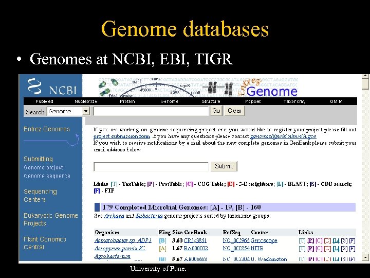 Genome databases • Genomes at NCBI, EBI, TIGR Jan 21, 2010 © UKK, Bioinformatics