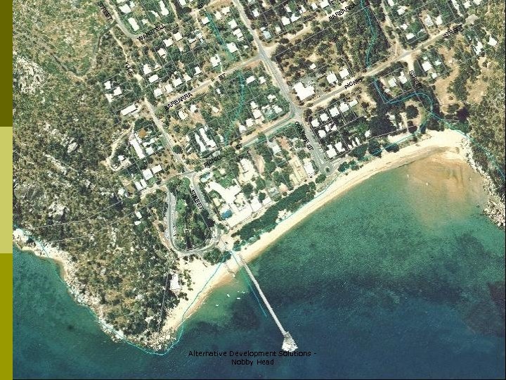 Alternative Development Solutions Nobby Head 