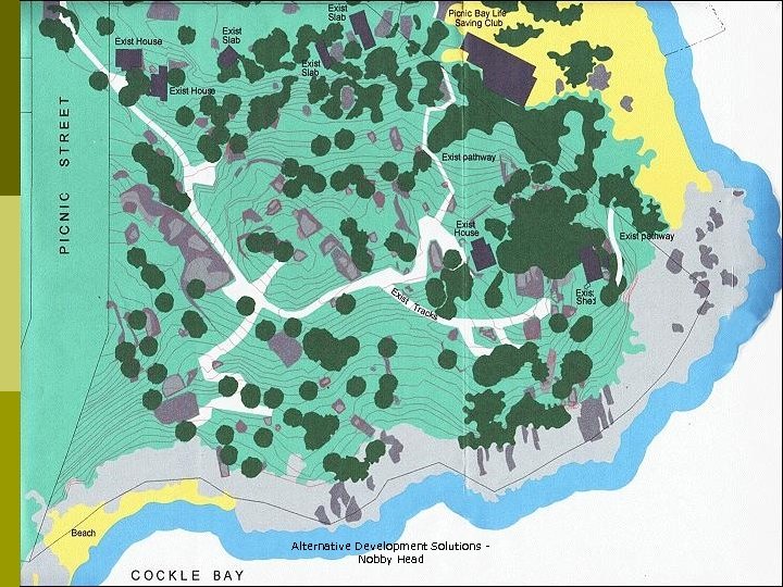 Alternative Development Solutions Nobby Head 