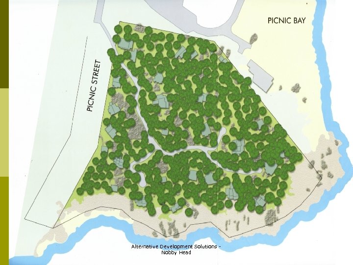 Alternative Development Solutions Nobby Head 