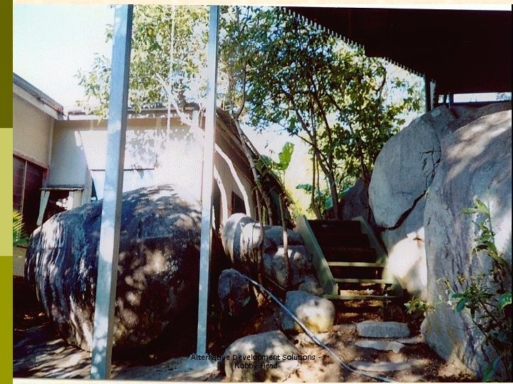 Alternative Development Solutions Nobby Head 