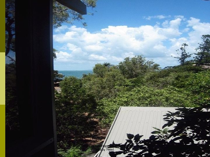 Alternative Development Solutions Nobby Head 