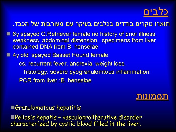 כלבים . תוארו מקרים בודדים בכלבים בעיקר עם מעורבות של הכבד n 6