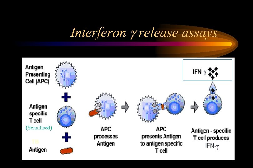 Interferon release assays (Sensitised) TB 