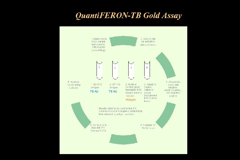 Quanti. FERON-TB Gold Assay TB AG Mitogen 