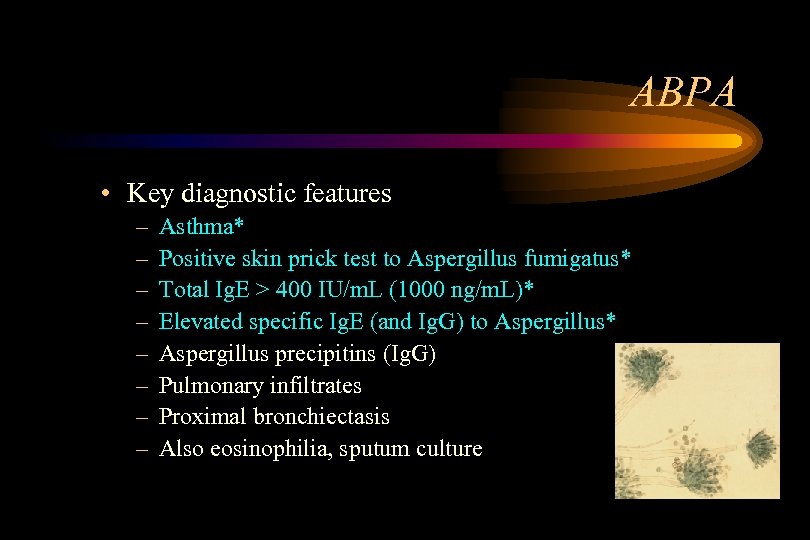 ABPA • Key diagnostic features – – – – Asthma* Positive skin prick test