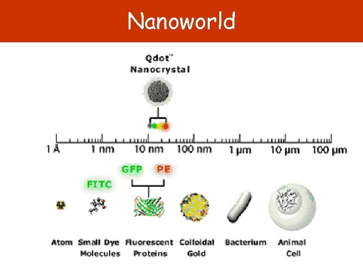 Nanoworld 