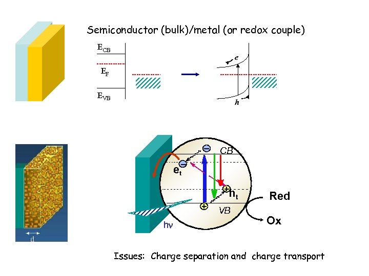 Semiconductor (bulk)/metal (or redox couple) ECB e EF EVB h – CB – et