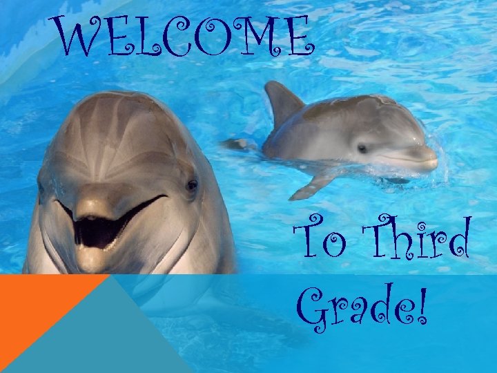 WELCOME To Third Grade! 