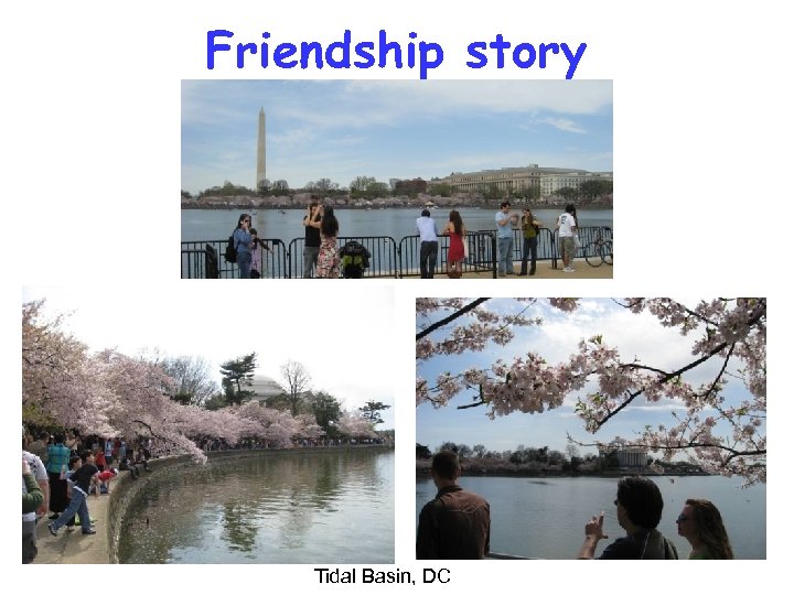 Friendship story Tidal Basin, DC 