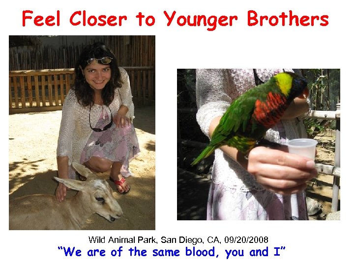 Feel Closer to Younger Brothers Wild Animal Park, San Diego, CA, 09/20/2008 “We are