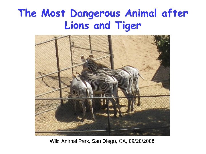 The Most Dangerous Animal after Lions and Tiger Wild Animal Park, San Diego, CA,
