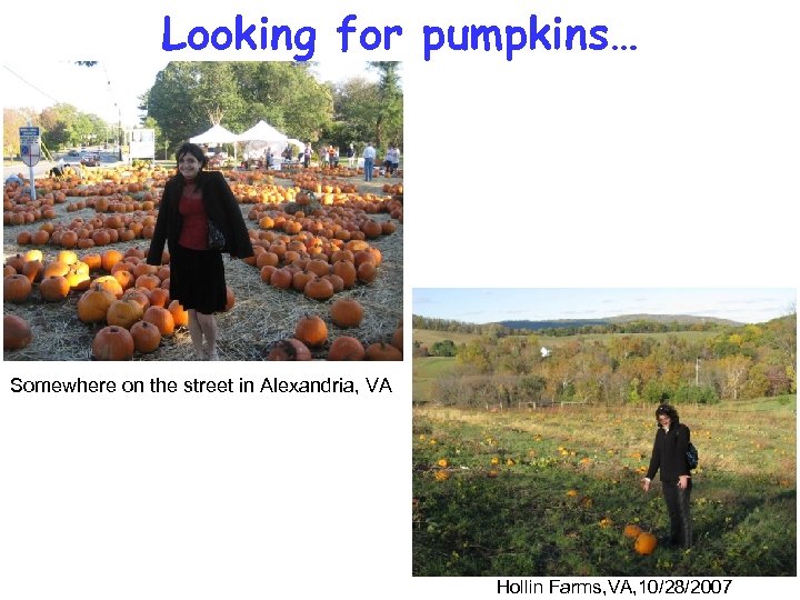 Looking for pumpkins… Somewhere on the street in Alexandria, VA Hollin Farms, VA, 10/28/2007