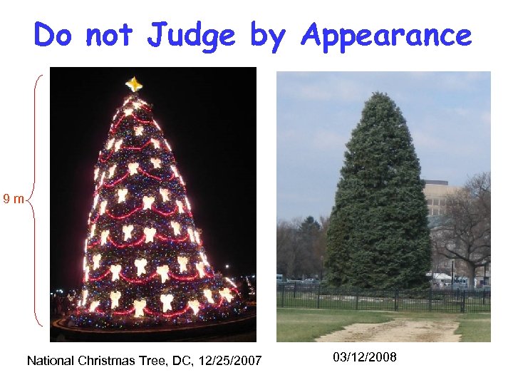 Do not Judge by Appearance 9 m National Christmas Tree, DC, 12/25/2007 03/12/2008 