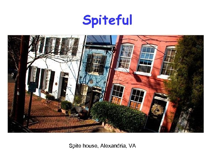 Spiteful Spite house, Alexandria, VA 
