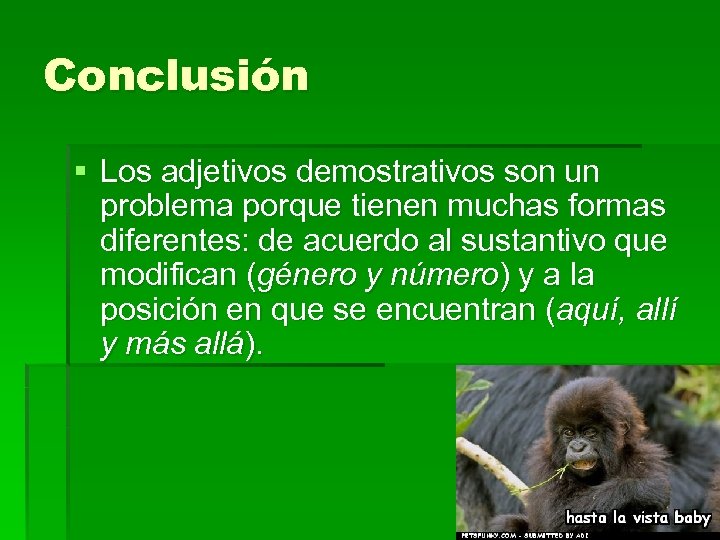 Conclusión § Los adjetivos demostrativos son un problema porque tienen muchas formas diferentes: de