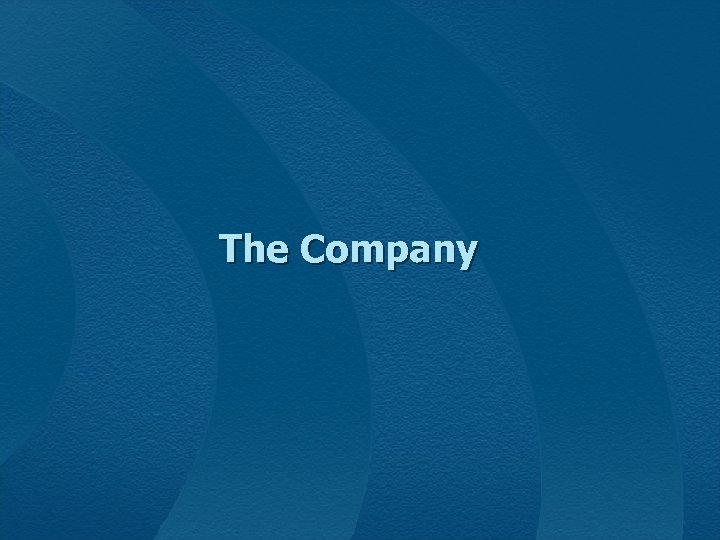 The Company 