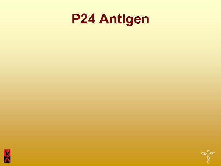 P 24 Antigen 