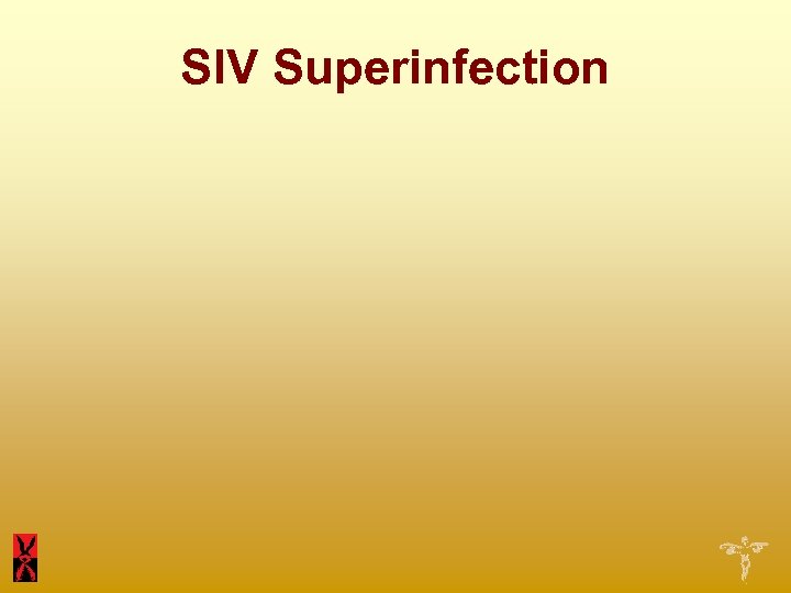 SIV Superinfection 