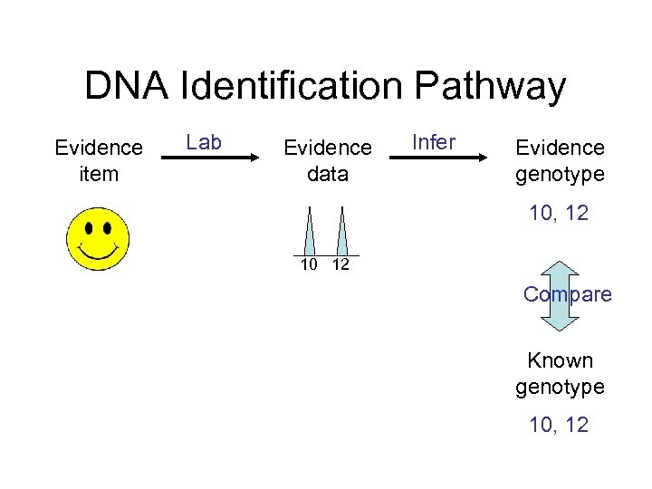DNA Identification Pathway Evidence item Lab Evidence data Infer Evidence genotype 10, 12 10